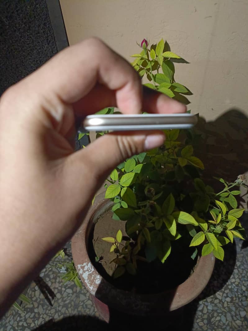 Apple iPhone 7 4