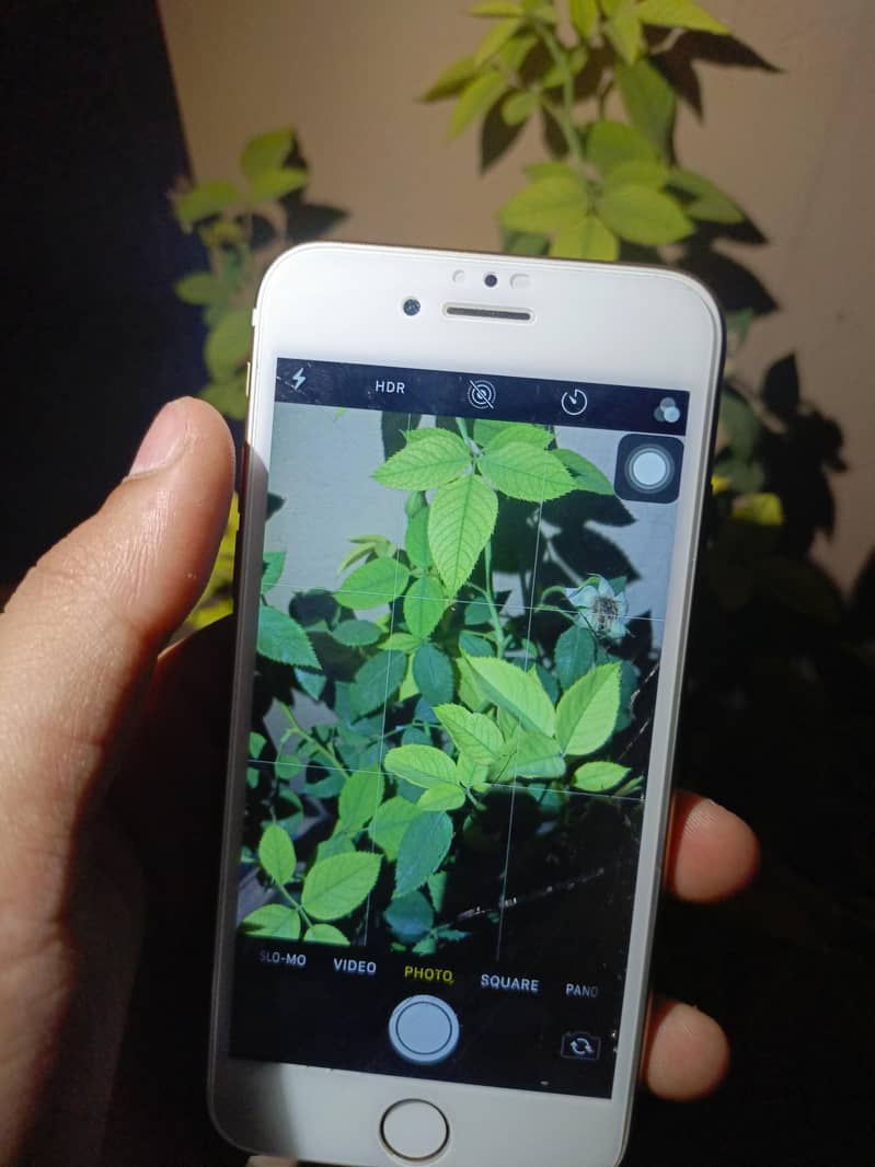 Apple iPhone 7 6