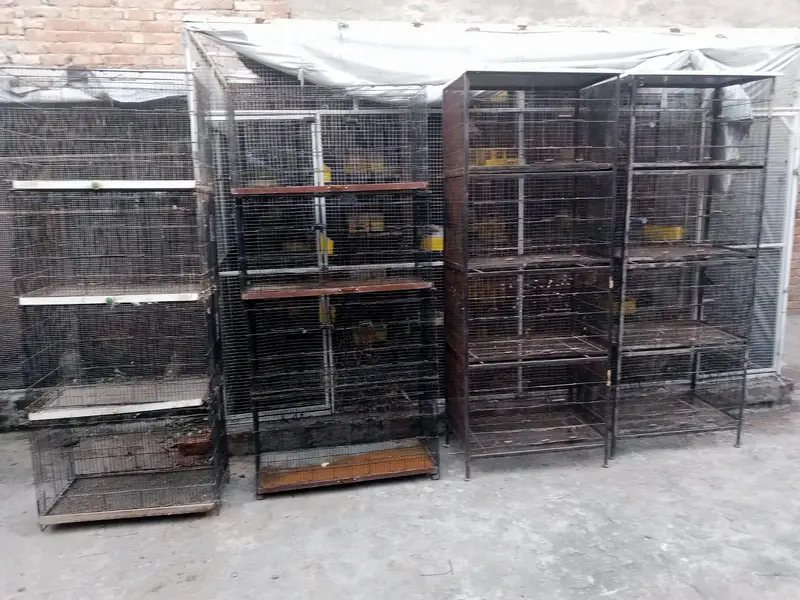 big Size Professional Birds Colony / Breeding folding  Cage — photo 3