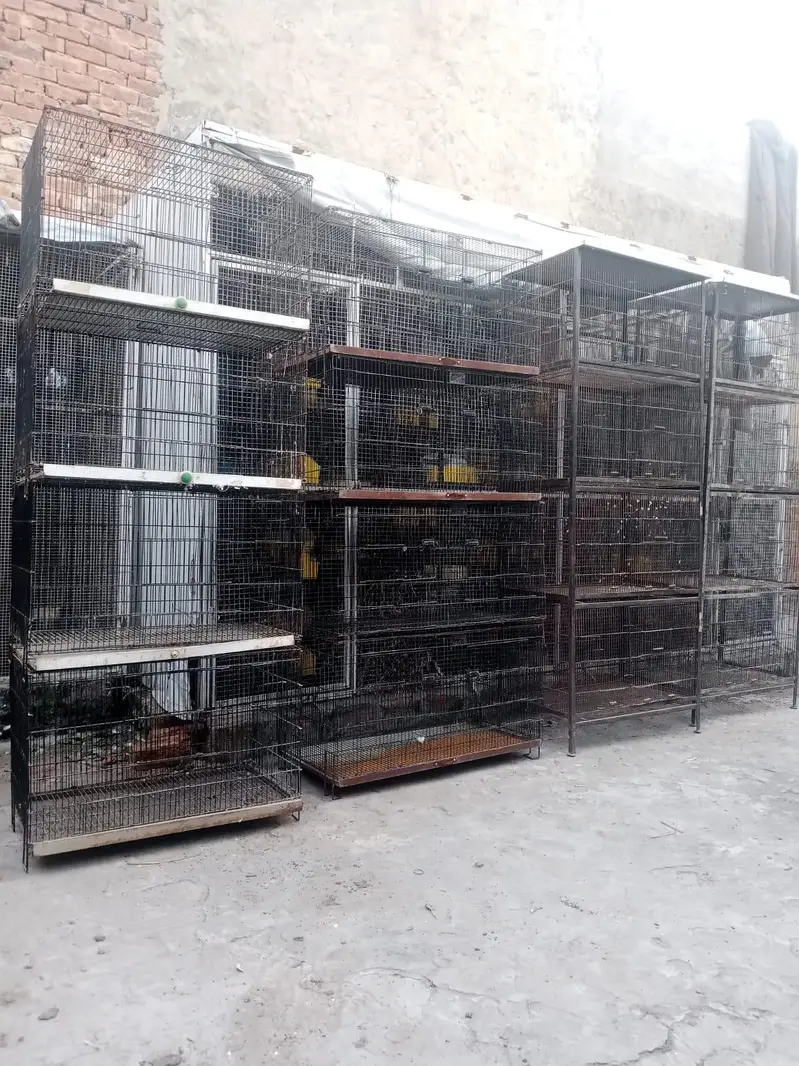 big Size Professional Birds Colony / Breeding folding  Cage — photo 4
