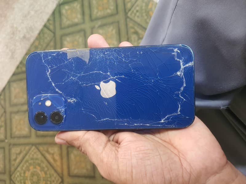 Apple iPhone 12 1
