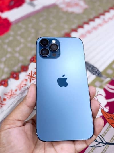 iPhone 12 promox 128 GB official PT approved