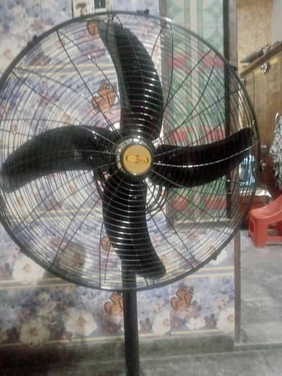 new fan