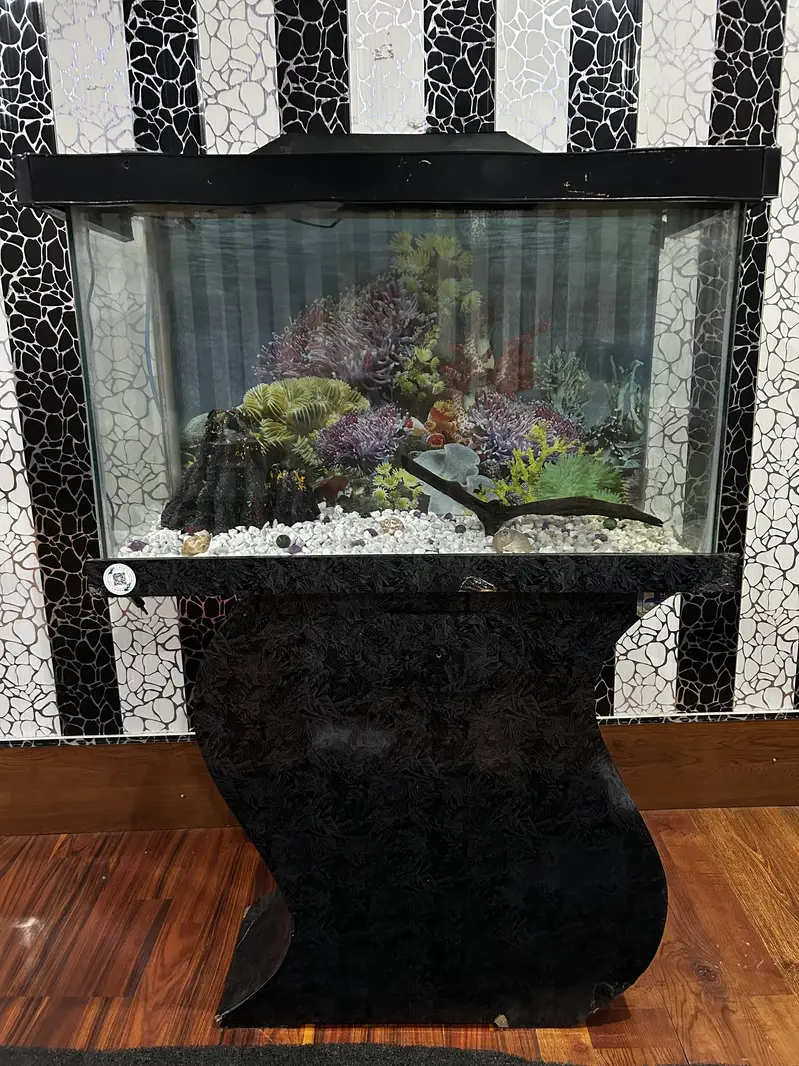 2.5 Feet Fish Aquarium
