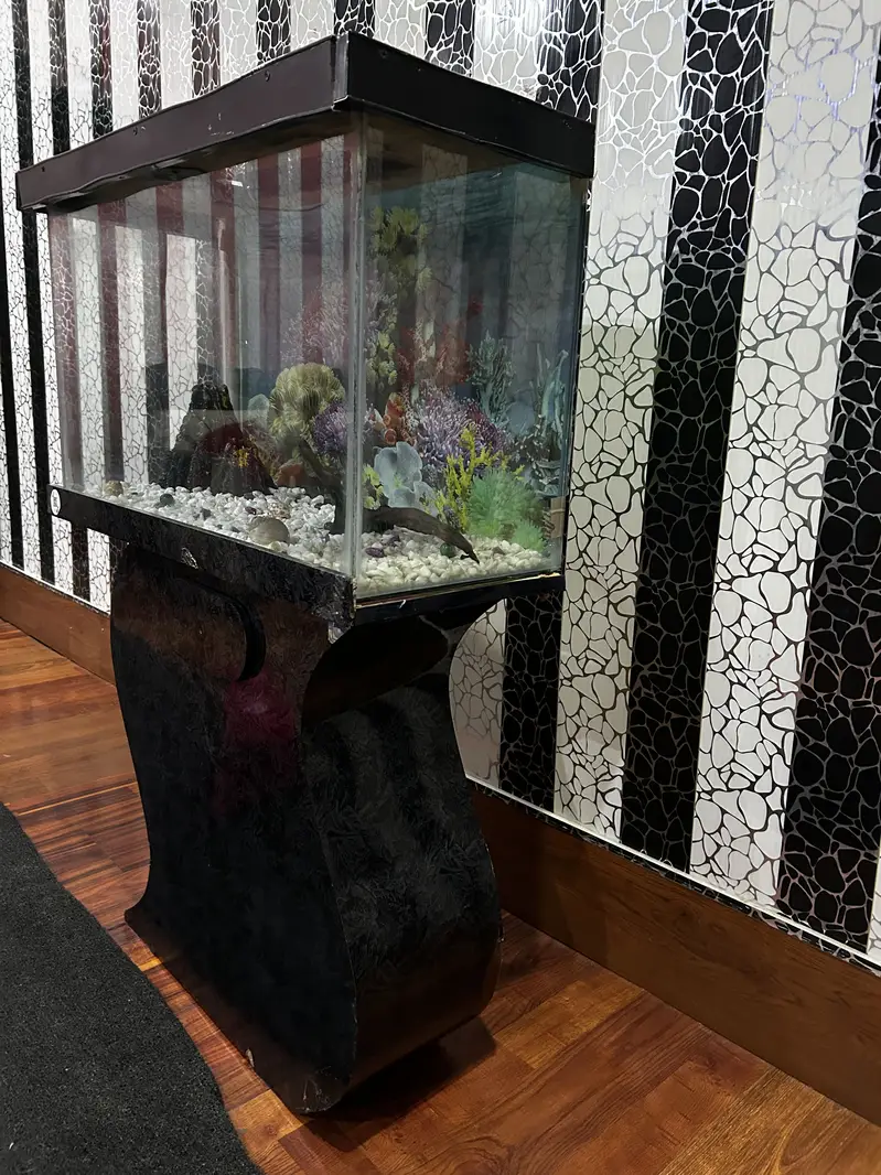 2.5 Feet Fish Aquarium — photo 3