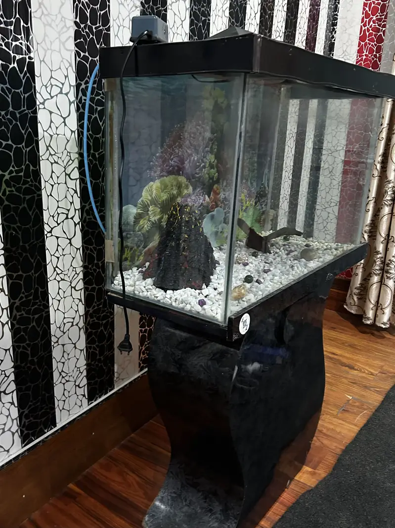 2.5 Feet Fish Aquarium — photo 4