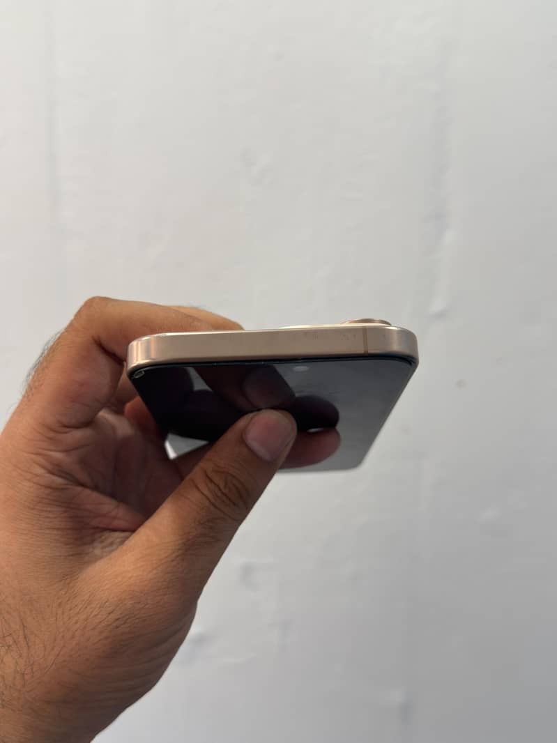 Apple iPhone 16 Pro Max 1