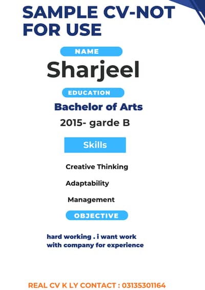 professional cv system