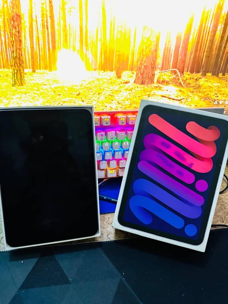 Ipad Mini 6 4