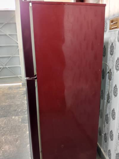 Pell Large Fridge