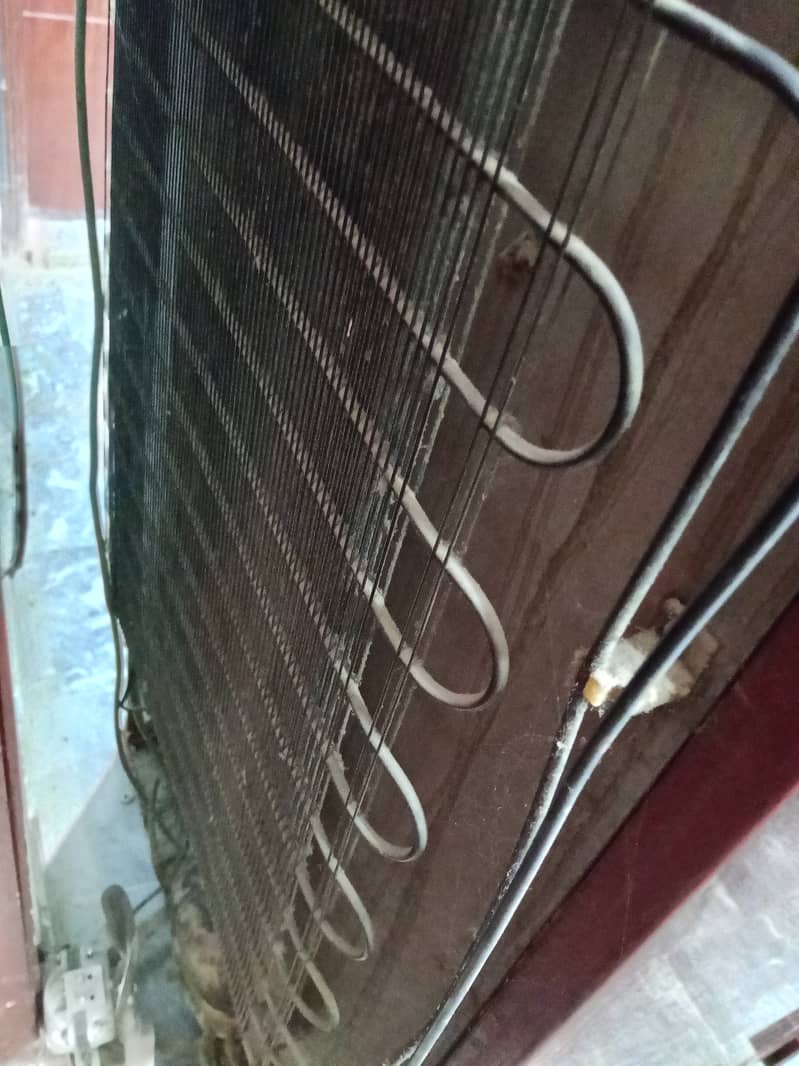 Pell Large Fridge 1