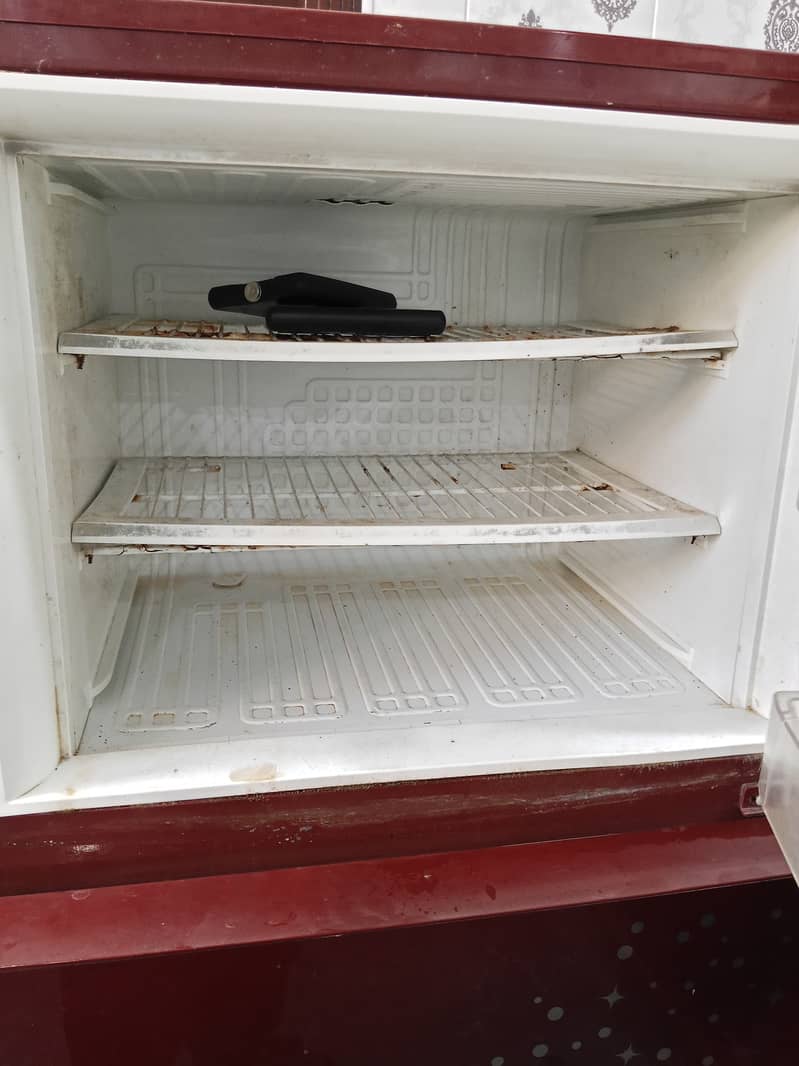 Pell Large Fridge 2