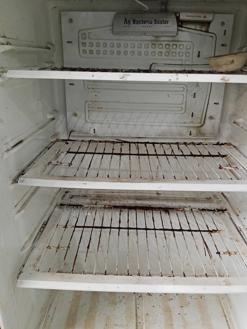 Pell Large Fridge 3