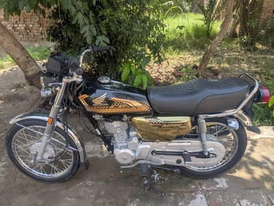 Honda 125 gold edition