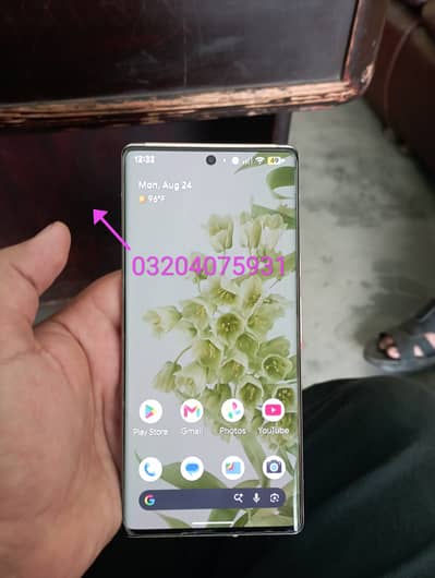 Google Pixel 6 Pro