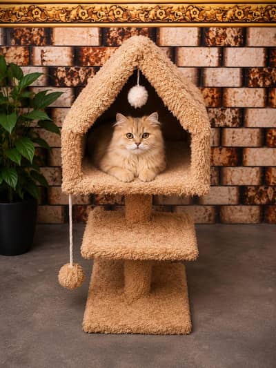 Luxury Wooden Cat House | Premium Handmade Design