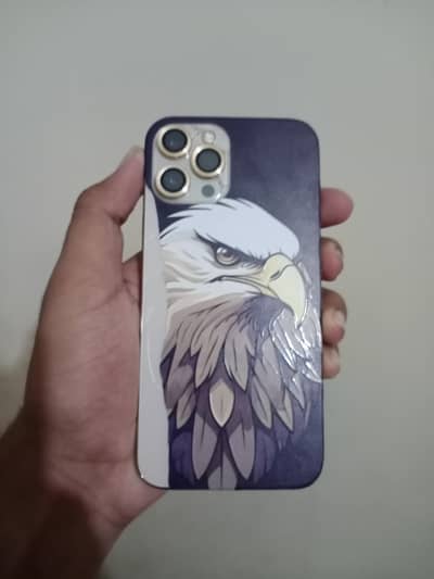 iPhone 12 Pro Max FU