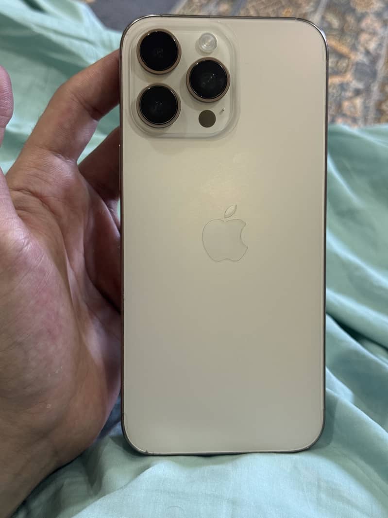 Apple iPhone 16 Pro Max 1