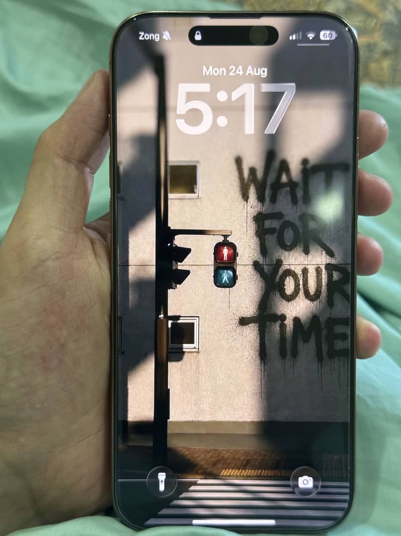 Apple iPhone 16 Pro Max 4
