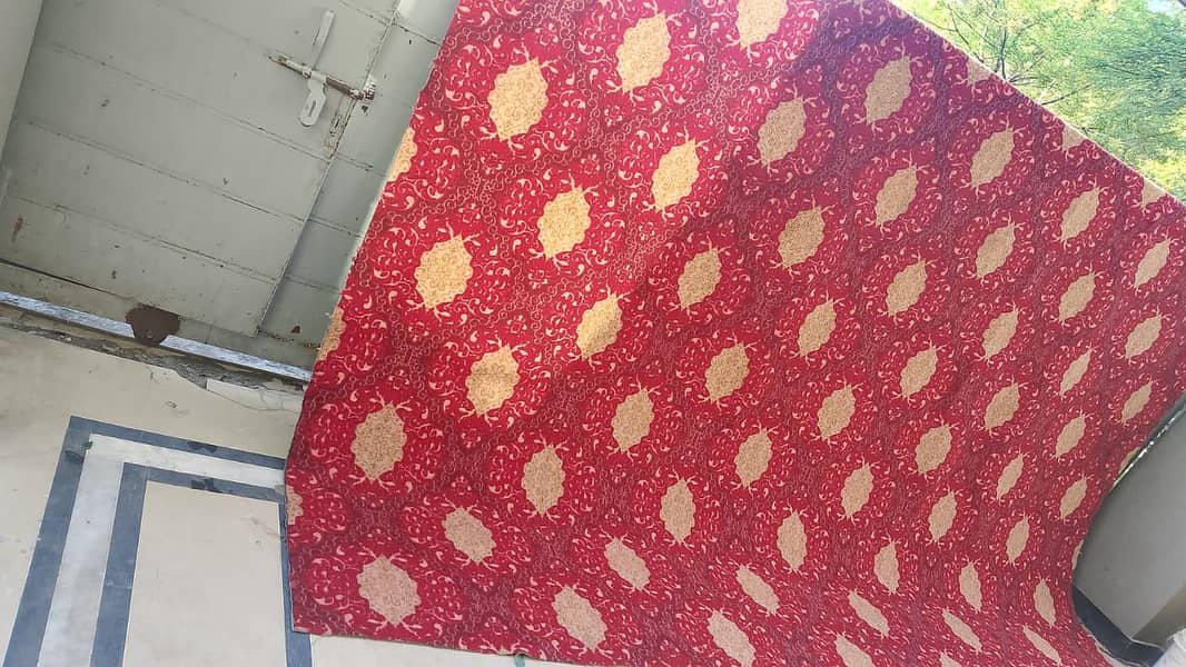Carpet 4