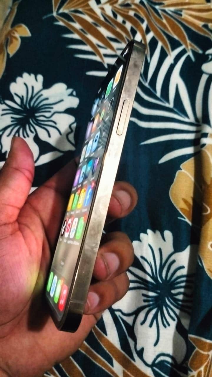 Apple iPhone 12 Pro 2