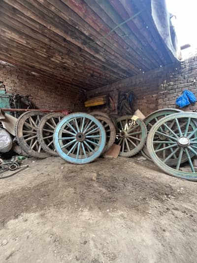 Tanga tyre / chakka / wheel