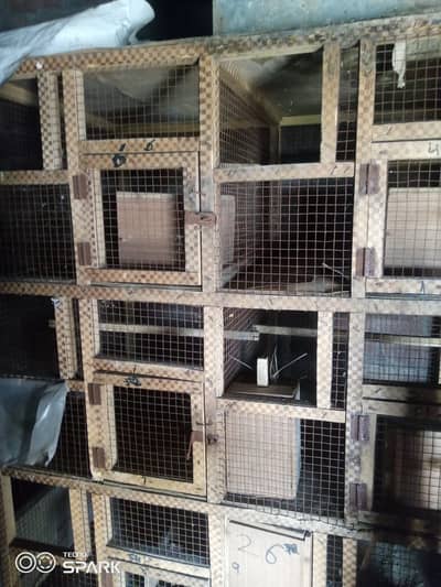 10 portion wooden cage with boxes  03008531005