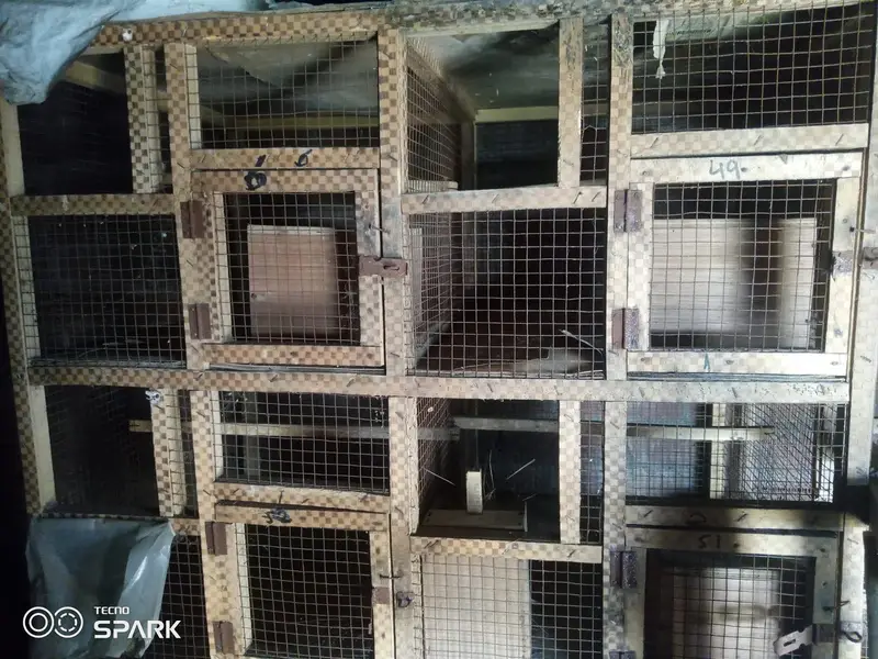 10 portion wooden cage with boxes  03008531005 — photo 2