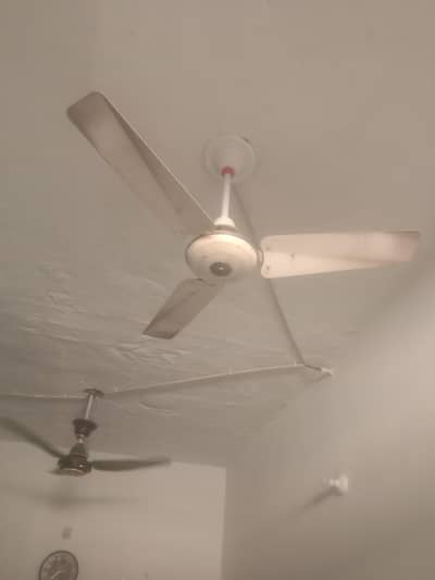selling fan 03437788337
