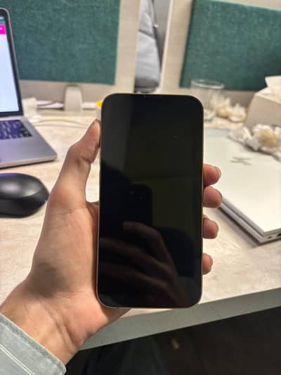 Apple iPhone 13 Pro