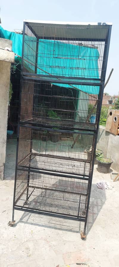 Neat clean Cages