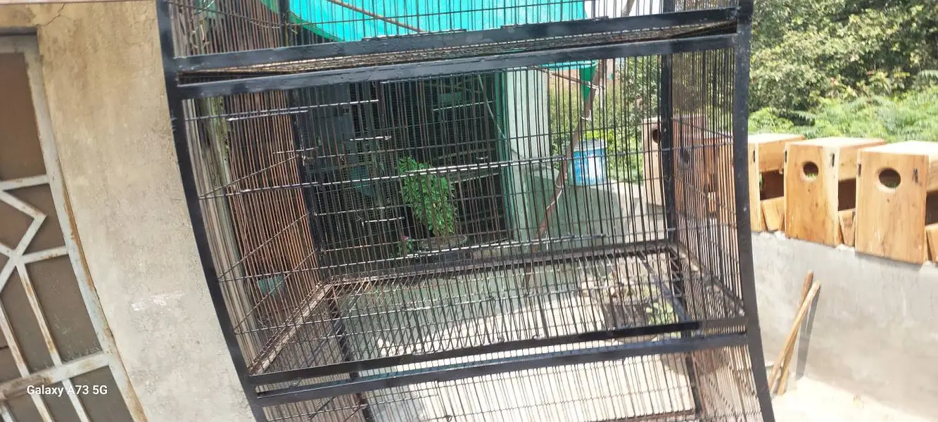 Neat clean Cages — photo 2