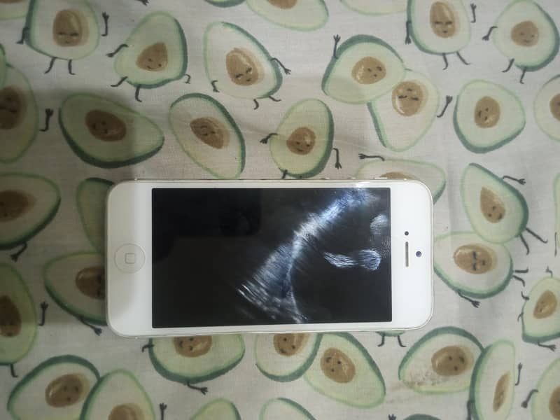 Apple iPhone 5 3