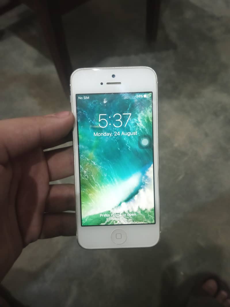 Apple iPhone 5 5