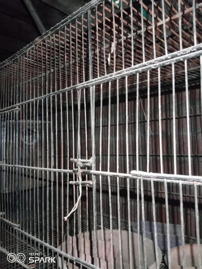 10 portion wooden cage with boxes  03008531005 — photo 4