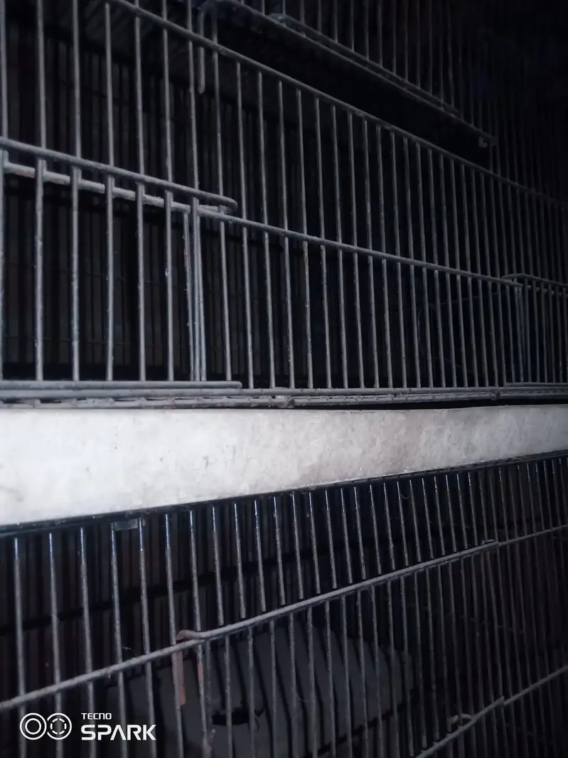10 portion wooden cage with boxes  03008531005 — photo 5