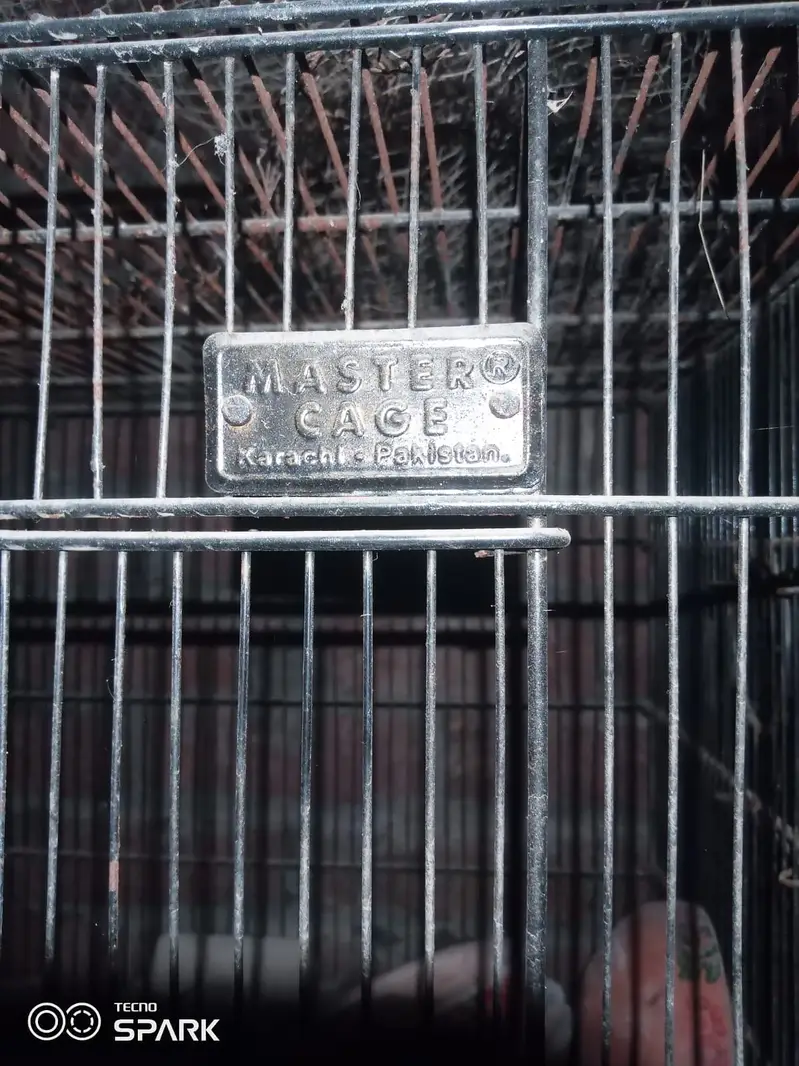 10 portion wooden cage with boxes  03008531005 — photo 6