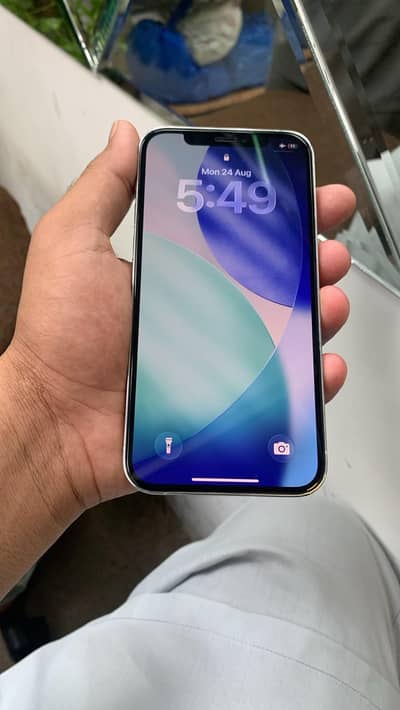 Apple iPhone 12 Pro