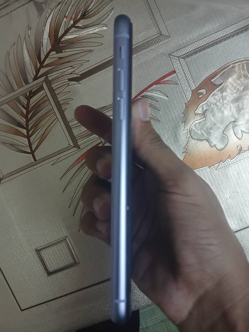 Apple iPhone 11 1