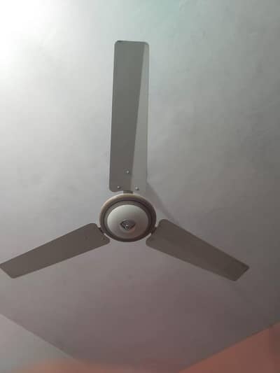 ceiling fan