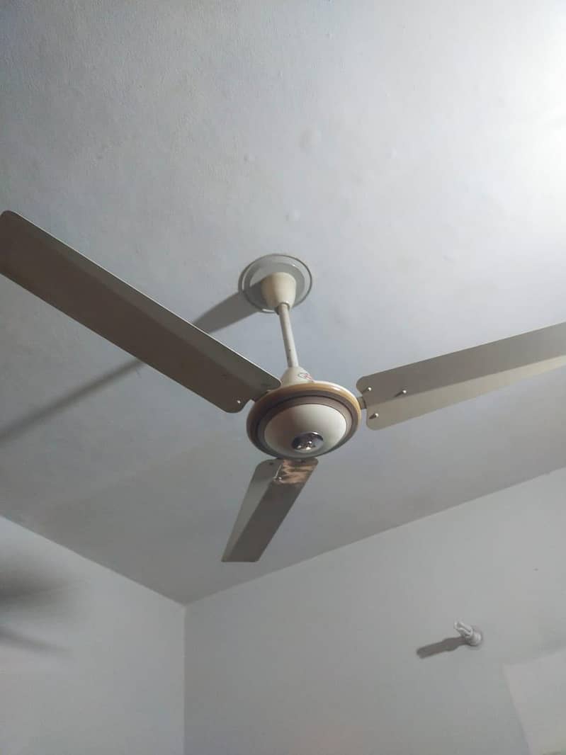 ceiling fan 1