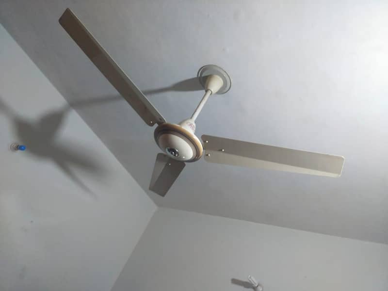 ceiling fan 2