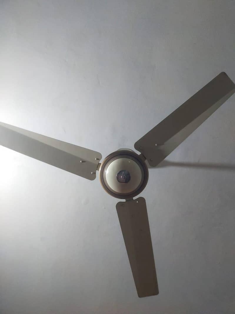 ceiling fan 3