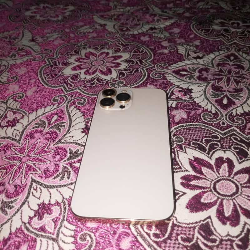 iphone 13 pro max 1