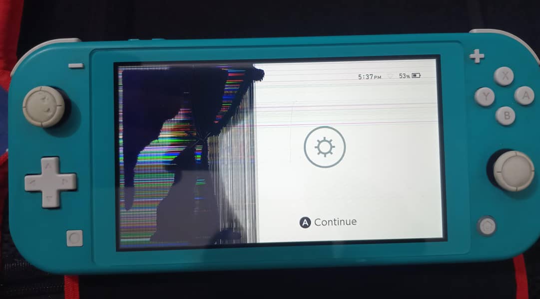 Nintendo switch lite Read Description 1