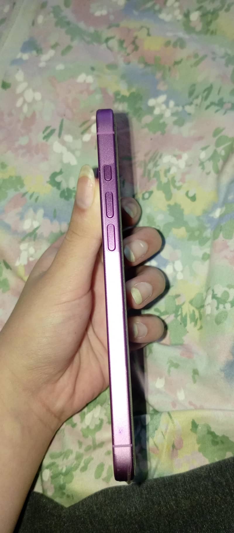iphone 16 plus 2