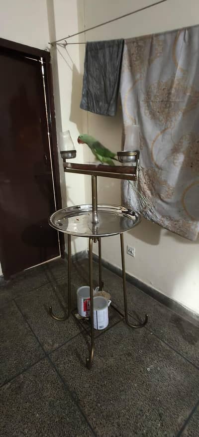 Alexandra Raw Parrot stand