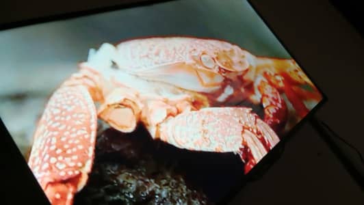samsung 42 inches