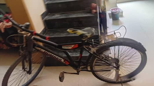Bicycle for sale