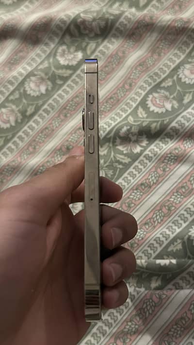 Apple iPhone 13 Pro